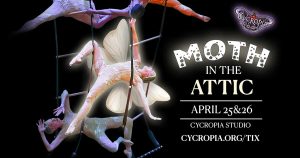 Moth in the Attic - 2025