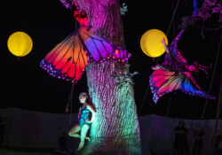 Cycropia Aerial Dance - Student Flyers Performance